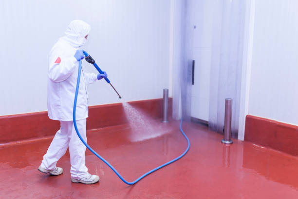 Best Warehouse Cleaning  in Elizabeth Lake, CA